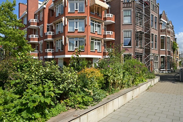 Medium property photo - Paulus Buijsstraat 48, 2582 CK The Hague